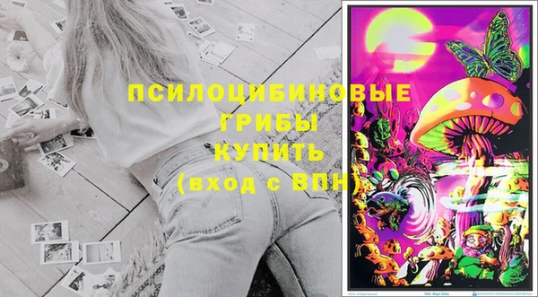 гидра Аркадак