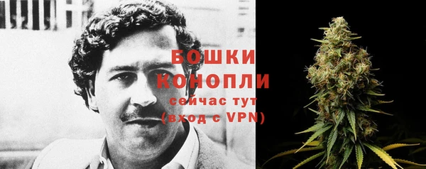 дмт Арсеньев