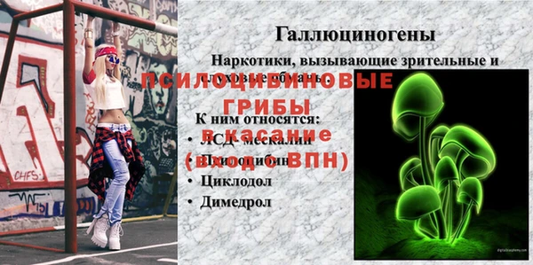 гидра Аркадак
