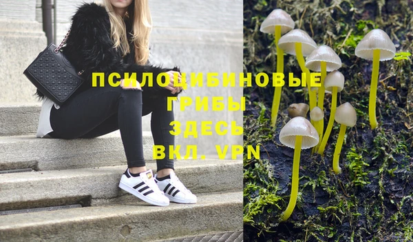 прущие грибы Армянск