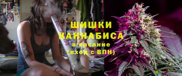 гидра Аркадак