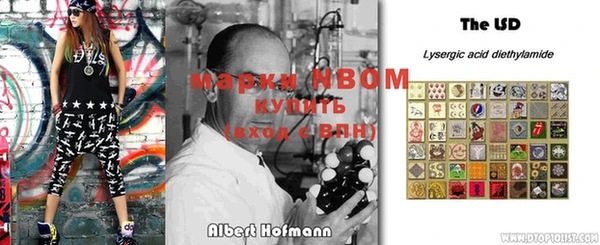 прущие грибы Армянск