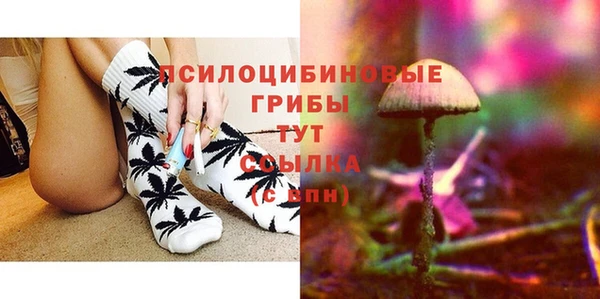 прущие грибы Армянск