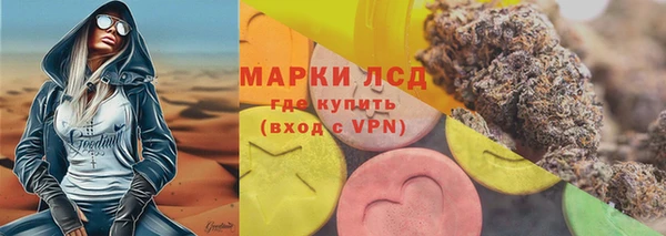 прущие грибы Армянск