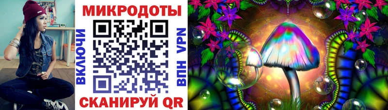 где купить наркоту  Ртищево  Псилоцибиновые грибы мицелий 